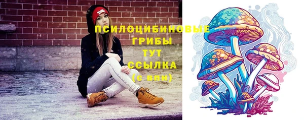 гидропоника Михайлов