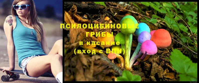 Галлюциногенные грибы Magic Shrooms  купить закладку  Нефтекамск 